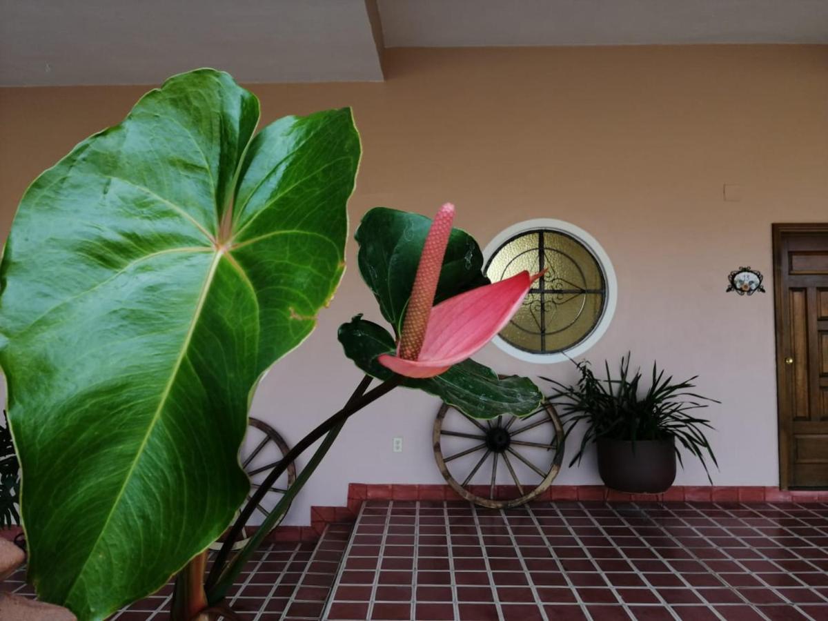 Hotel Ojo De Agua Ciudad Hidalgo 외부 사진